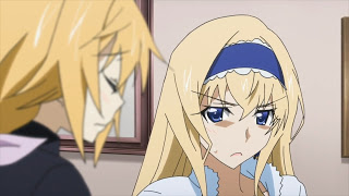 Infinite Stratos - 6 - Lost in Anime