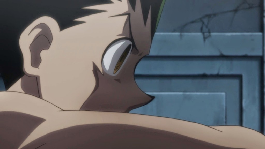 HUNTER X HUNTER 2011 Episode 125 Review--- Netero vs King Meruem