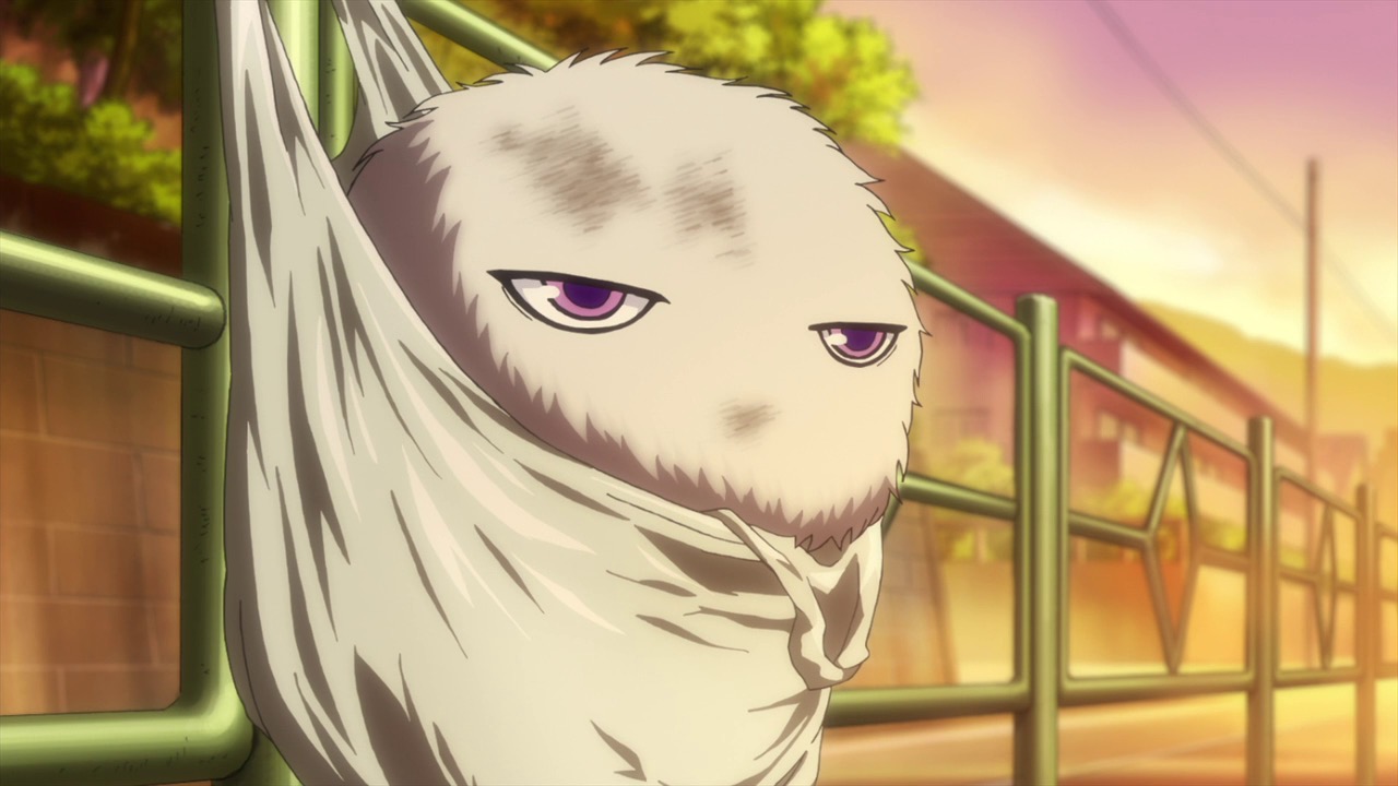 First Look: The Morose Mononokean