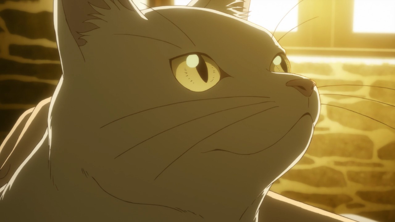 The Sorting Cats [Mahoutsukai no Yome/ Ancient Magus' Bride season 2] :  r/anime