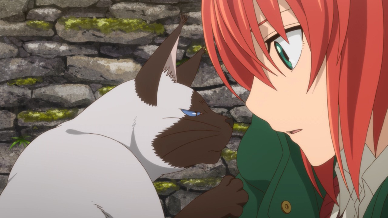 The Sorting Cats [Mahoutsukai no Yome/ Ancient Magus' Bride season 2] :  r/anime