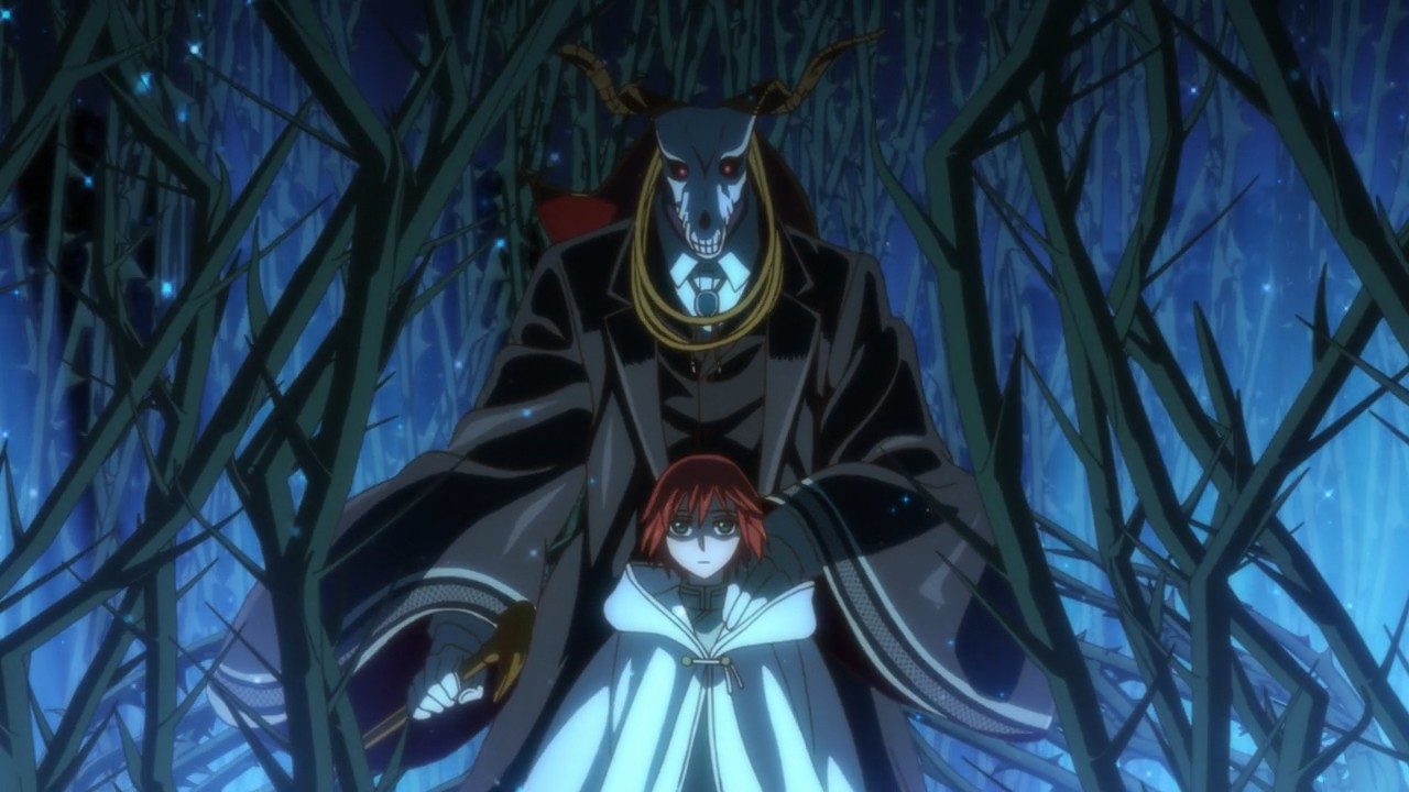 Mahoutsukai no Yome (Anime)  Ancient magus bride, Anime, Best romance anime