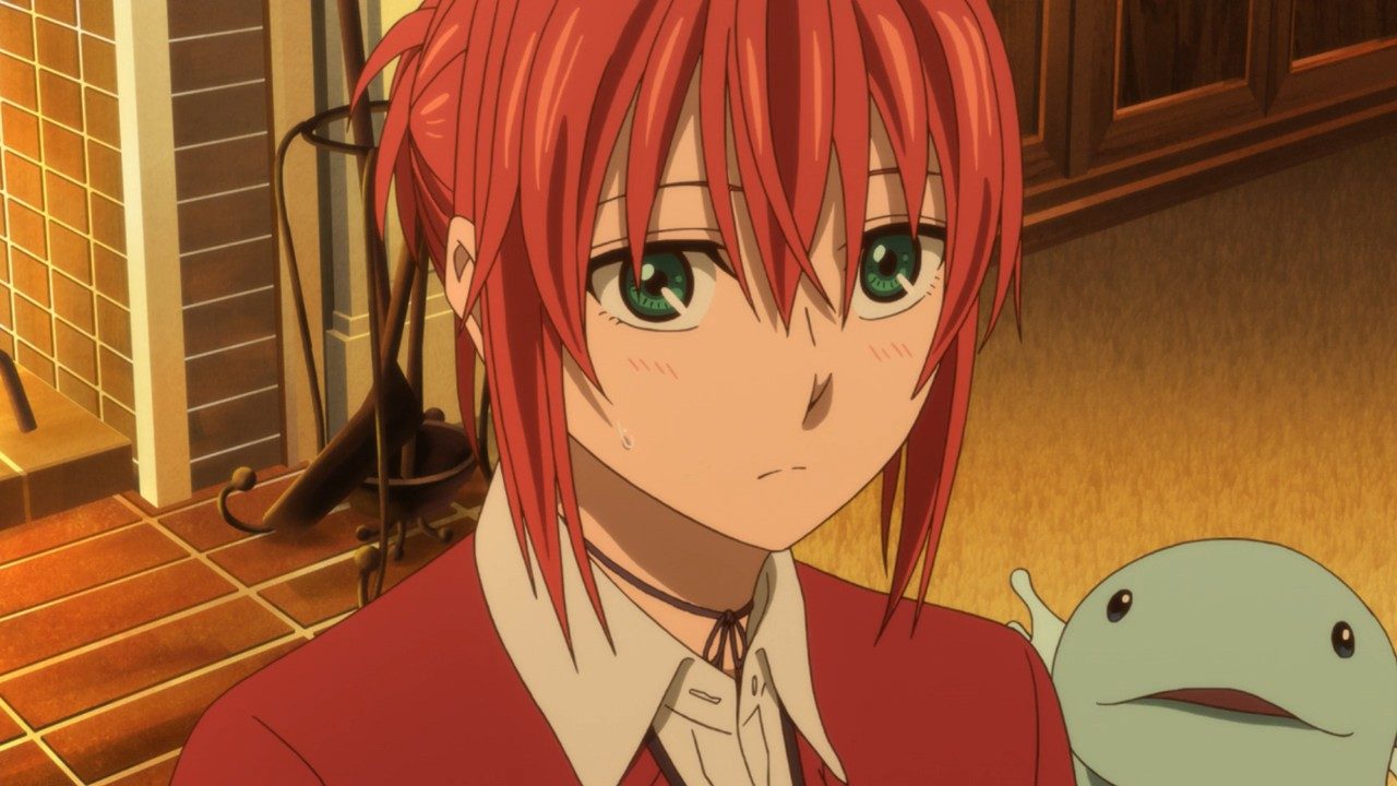 Mahou Tsukai no Yome (The Ancient Magus' Bride)