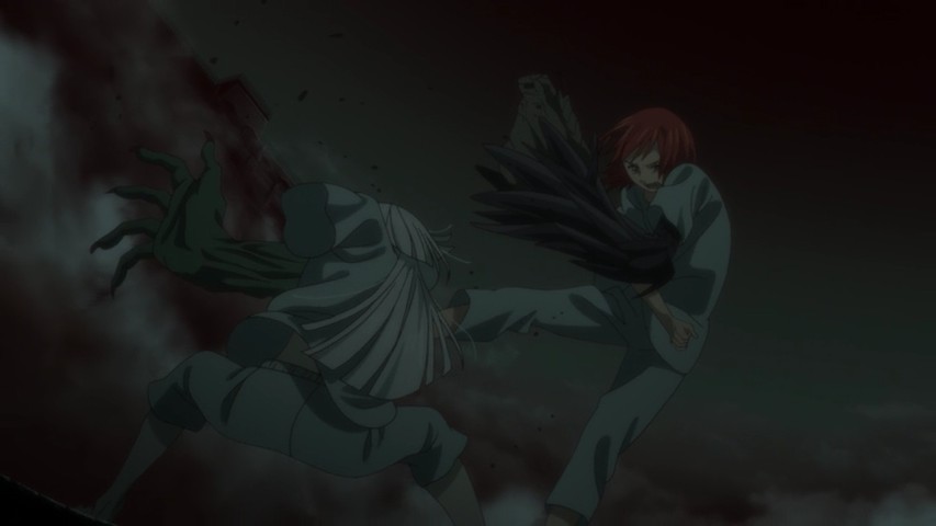 Mahoutsukai no Yome – 24 (End) and Series Review - Lost in Anime