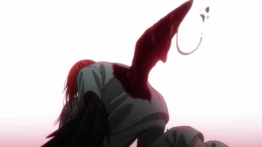 Mahou Tsukai no Yome – Último episódio especial ganha visual