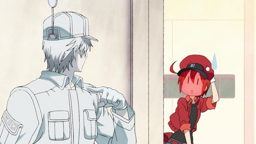 MY WEEK IN ANIME: Hataraku Saibou Episode 1