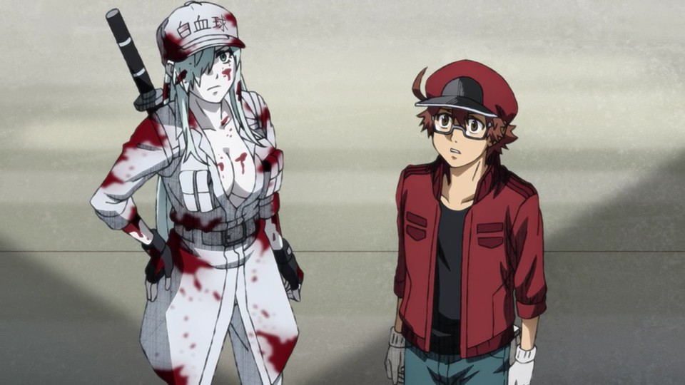 Hataraku Saibou S1 – Assassin'S Sub