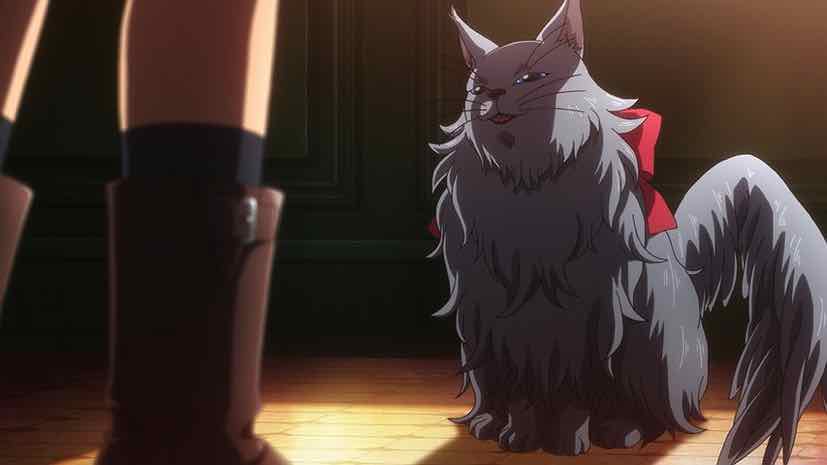 The Sorting Cats [Mahoutsukai no Yome/ Ancient Magus' Bride season