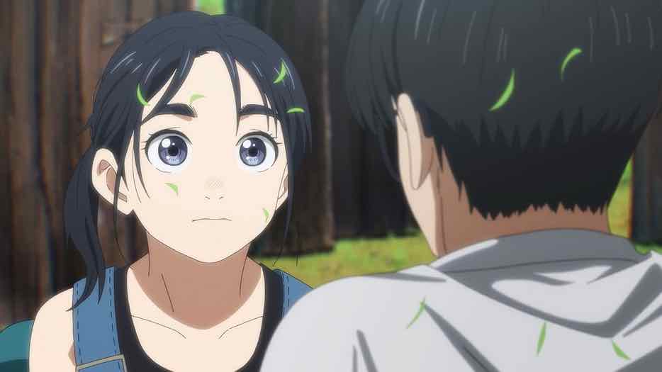 Kimi wa Houkago Insomnia – 13 (Season Finale) - Lost in Anime