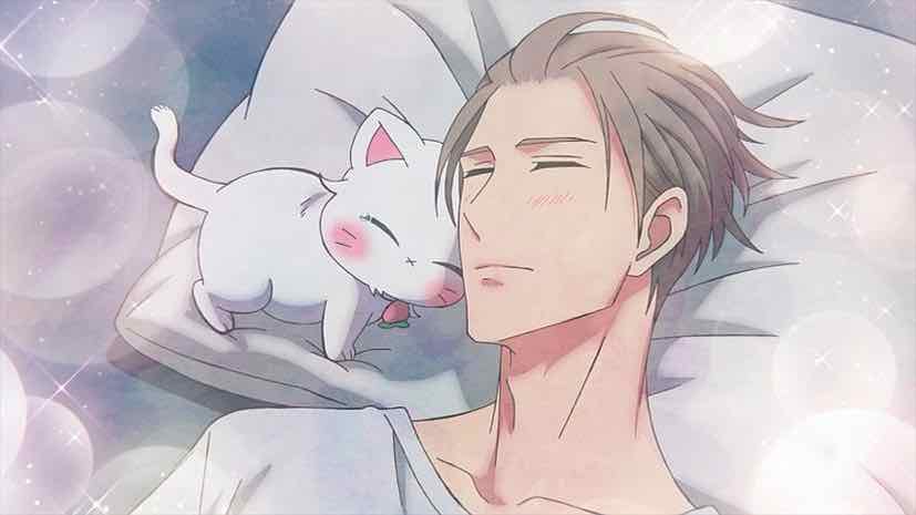 10 Best Cat Companions In Anime