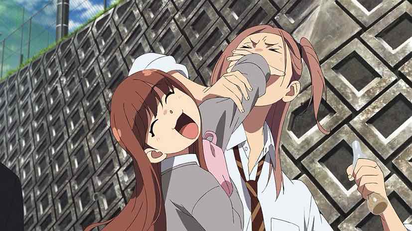 Otaku Disaster!: Anime: Mahoutsukai no yome