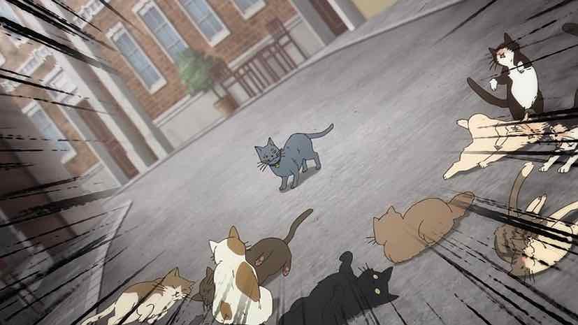 animal cat fish nichijou sakamoto (nichijou)   -   Anime Wallpapers