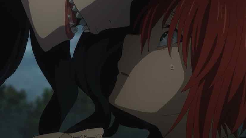 Do Chise and Elias Get Married in The Ancient Magus' Bride?