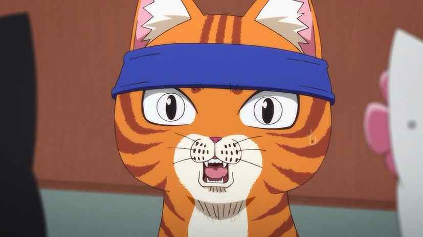 Ramen Akaneko, Anime