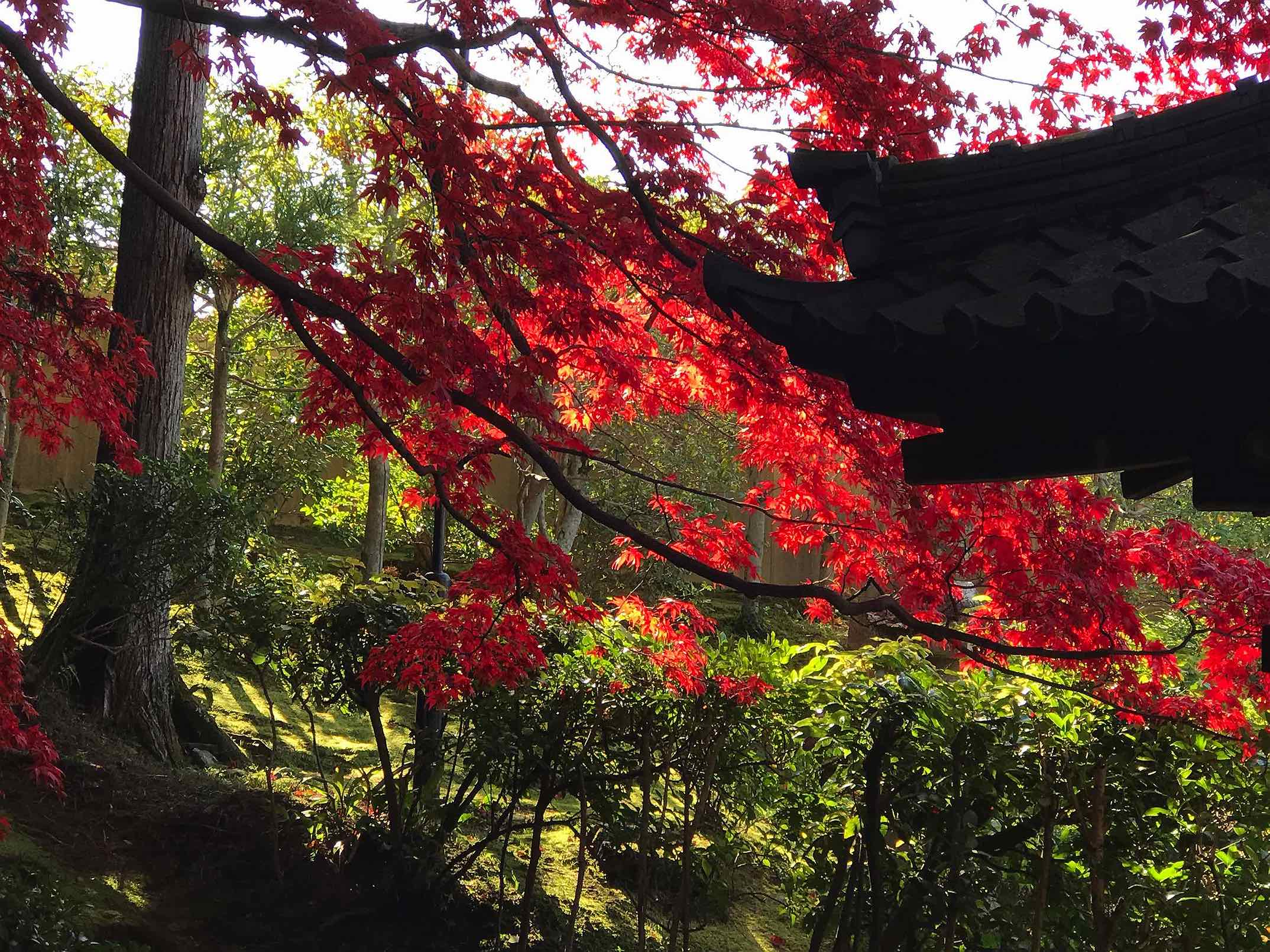 Kyoto, Eishoin