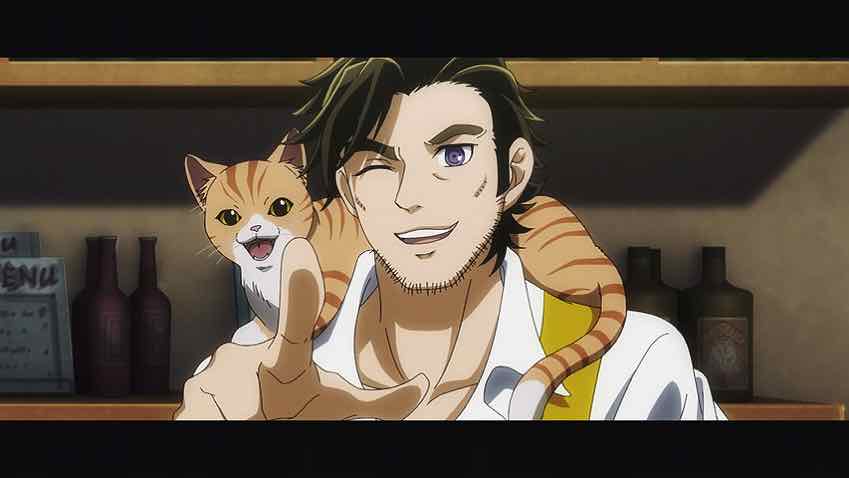 Nyaight of the Living Cat, Anime