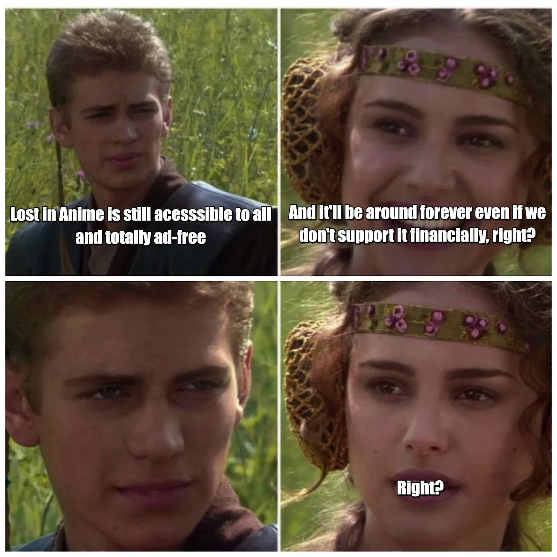 LiA Fundraiser, Meme
