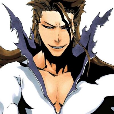 Bleach, Arrancar, Aizen